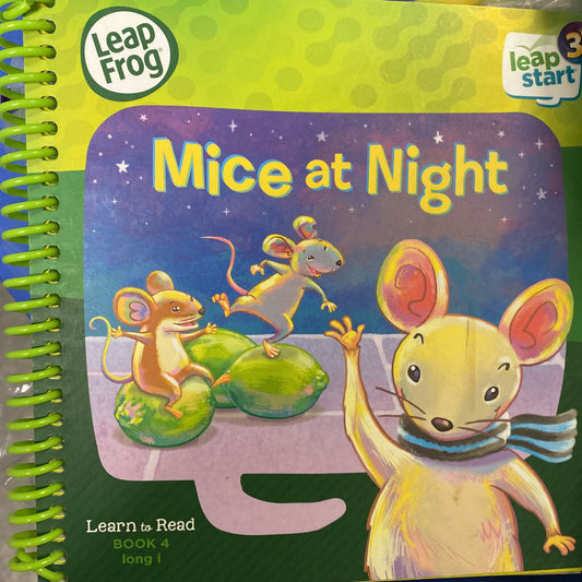 Mice at Night Leapstart Learn to Read Book 4