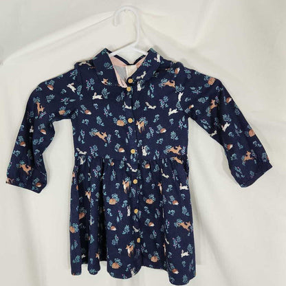 H&M Button Up Long Sleeve Dress size 18-24m