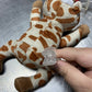 Baby Pacifier with Giraffe Stuffy
